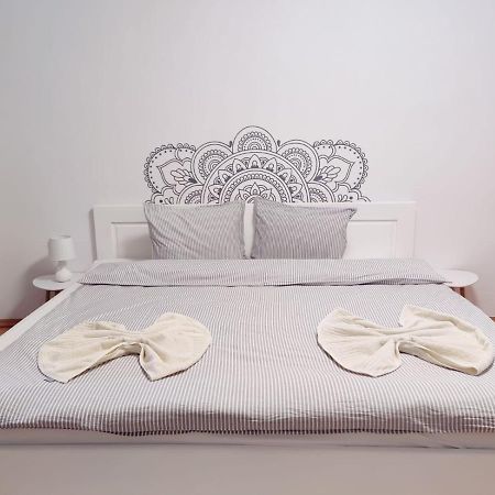 Penthouse Daniela - 3 Rooms In A Spacious Central Apartment Târgu-Mureş Esterno foto