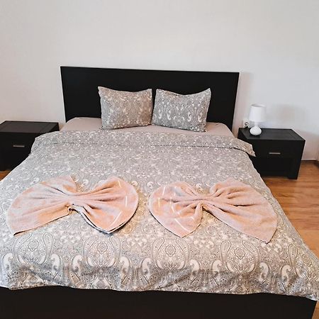 Penthouse Daniela - 3 Rooms In A Spacious Central Apartment Târgu-Mureş Esterno foto