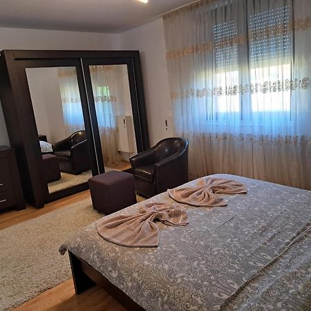 Penthouse Daniela - 3 Rooms In A Spacious Central Apartment Târgu-Mureş Esterno foto