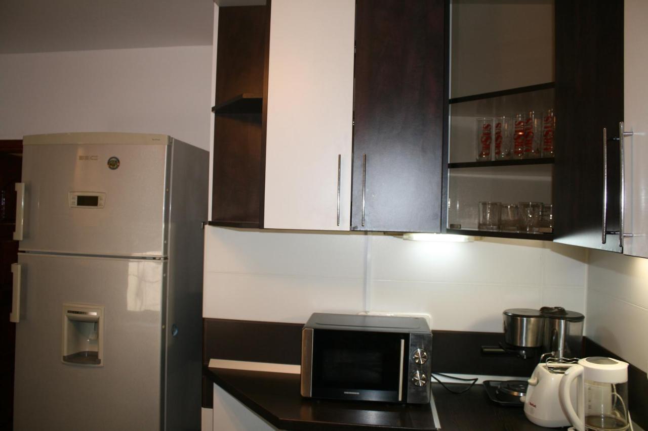 Penthouse Daniela - 3 Rooms In A Spacious Central Apartment Târgu-Mureş Esterno foto