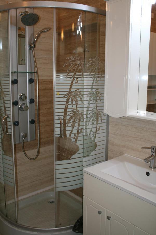 Penthouse Daniela - 3 Rooms In A Spacious Central Apartment Târgu-Mureş Esterno foto