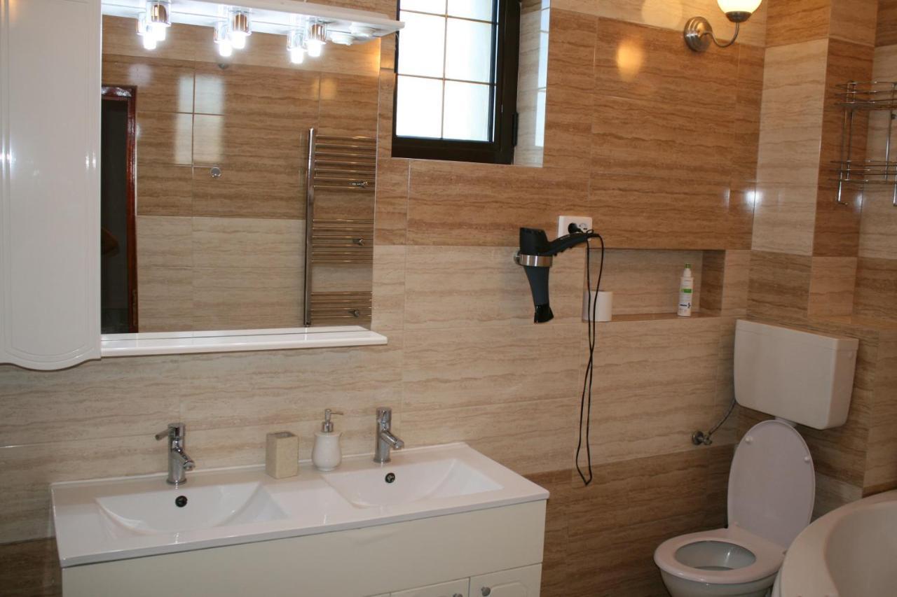 Penthouse Daniela - 3 Rooms In A Spacious Central Apartment Târgu-Mureş Esterno foto