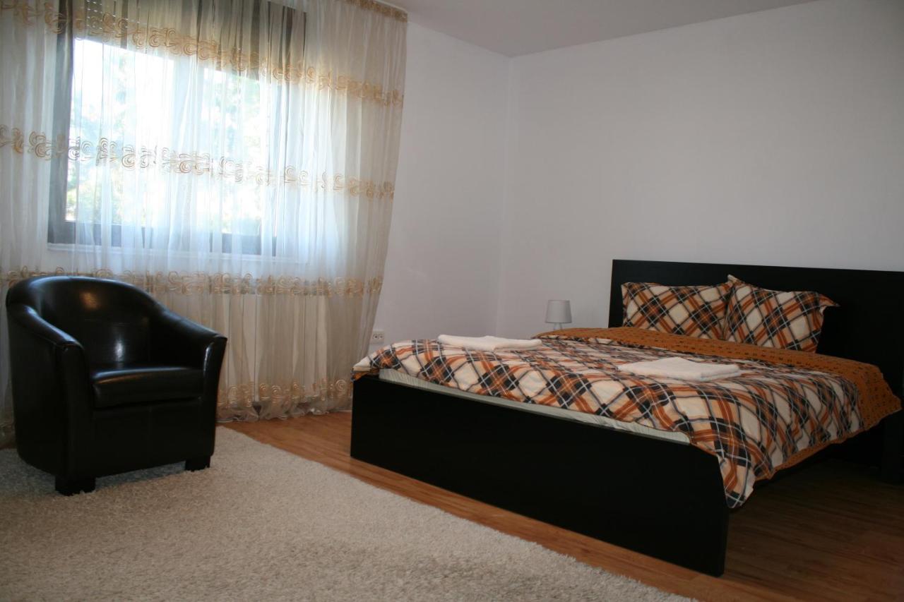 Penthouse Daniela - 3 Rooms In A Spacious Central Apartment Târgu-Mureş Esterno foto