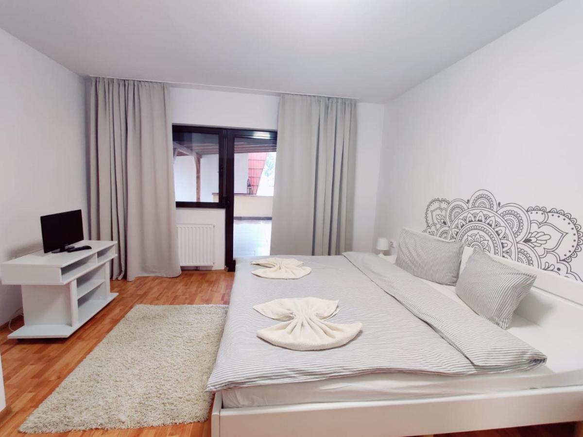 Penthouse Daniela - 3 Rooms In A Spacious Central Apartment Târgu-Mureş Esterno foto