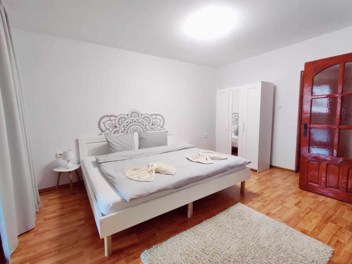 Penthouse Daniela - 3 Rooms In A Spacious Central Apartment Târgu-Mureş Esterno foto