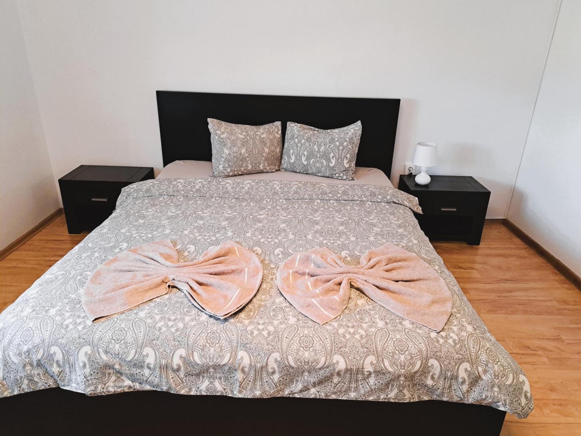 Penthouse Daniela - 3 Rooms In A Spacious Central Apartment Târgu-Mureş Esterno foto