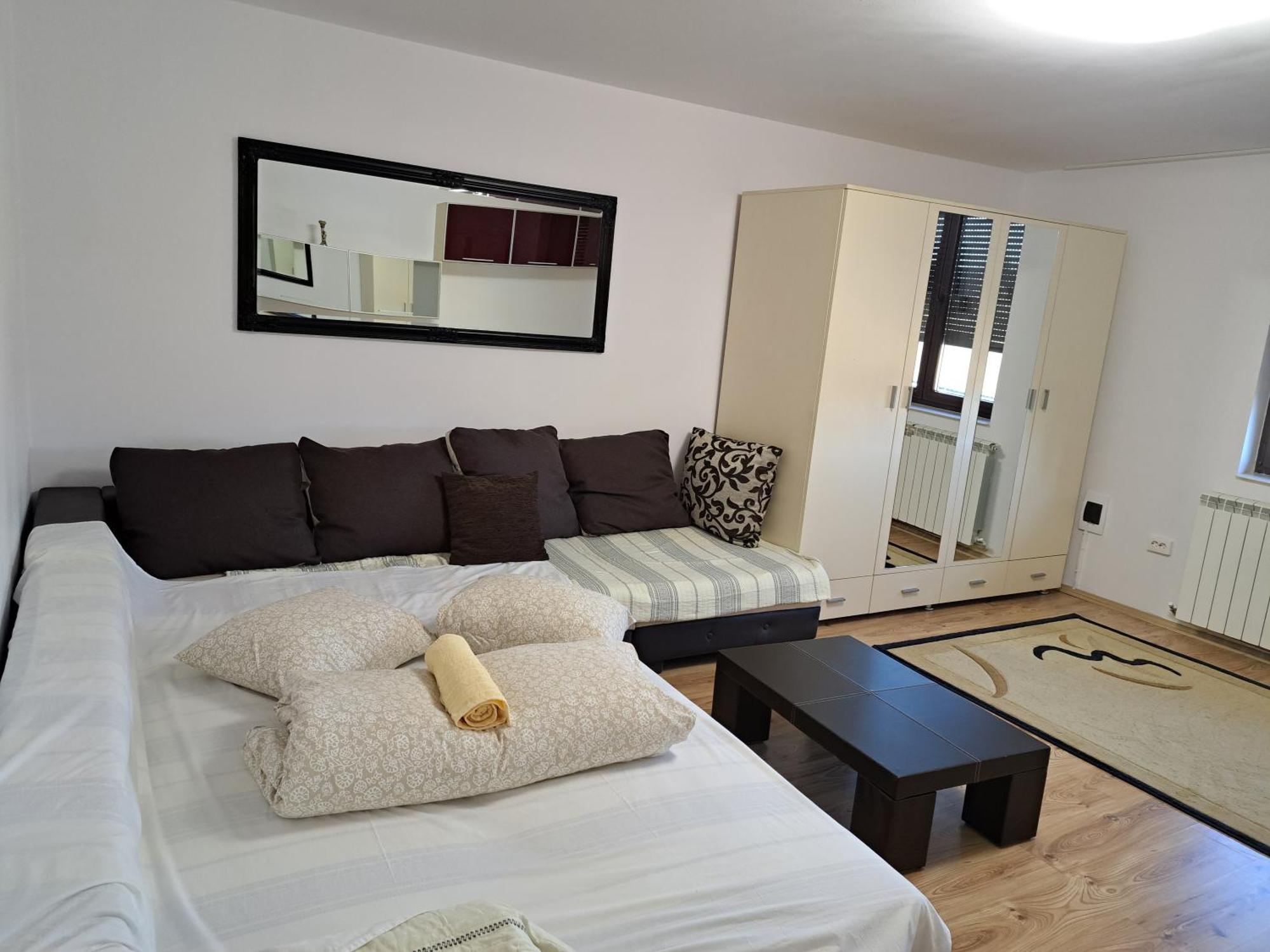Penthouse Daniela - 3 Rooms In A Spacious Central Apartment Târgu-Mureş Esterno foto